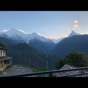 Meet your Posher, Noah